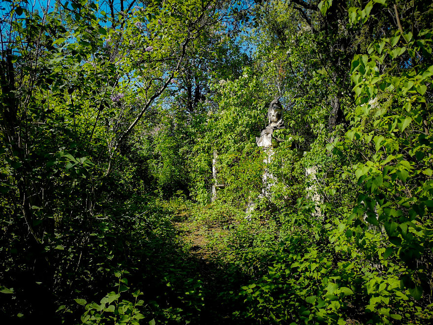 22 Photos Showing The Overgrown Cemetery Of Mozart Burial Place 22 Photos Showing The Overgrown Cemetery Of Mozart Burial Place
