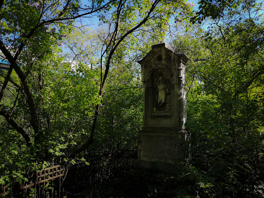 22 Photos Showing The Overgrown Cemetery Of Mozart Burial Place