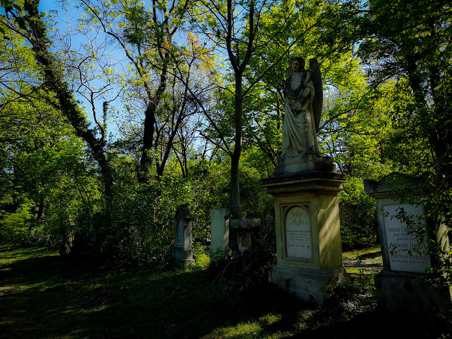 22 Photos Showing The Overgrown Cemetery Of Mozart Burial Place 22 Photos Showing The Overgrown Cemetery Of Mozart Burial Place