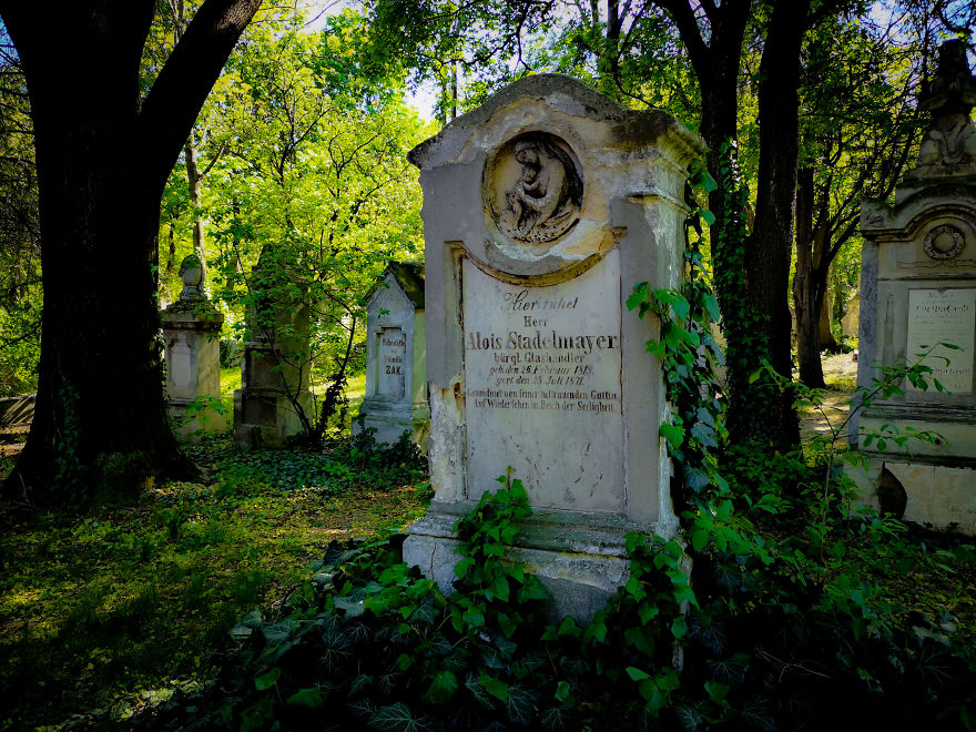 22 Photos Showing The Overgrown Cemetery Of Mozart Burial Place