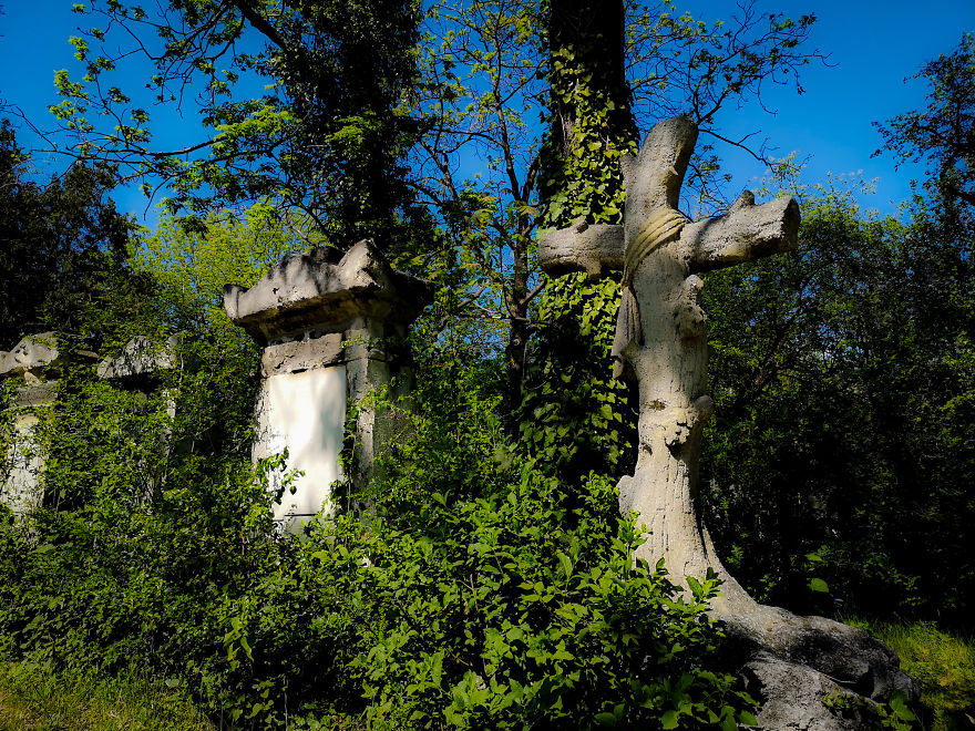 22 Photos Showing The Overgrown Cemetery Of Mozart Burial Place
