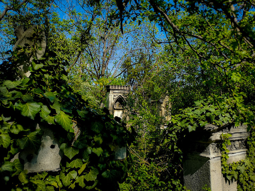 22 Photos Showing The Overgrown Cemetery Of Mozart Burial Place 22 Photos Showing The Overgrown Cemetery Of Mozart Burial Place