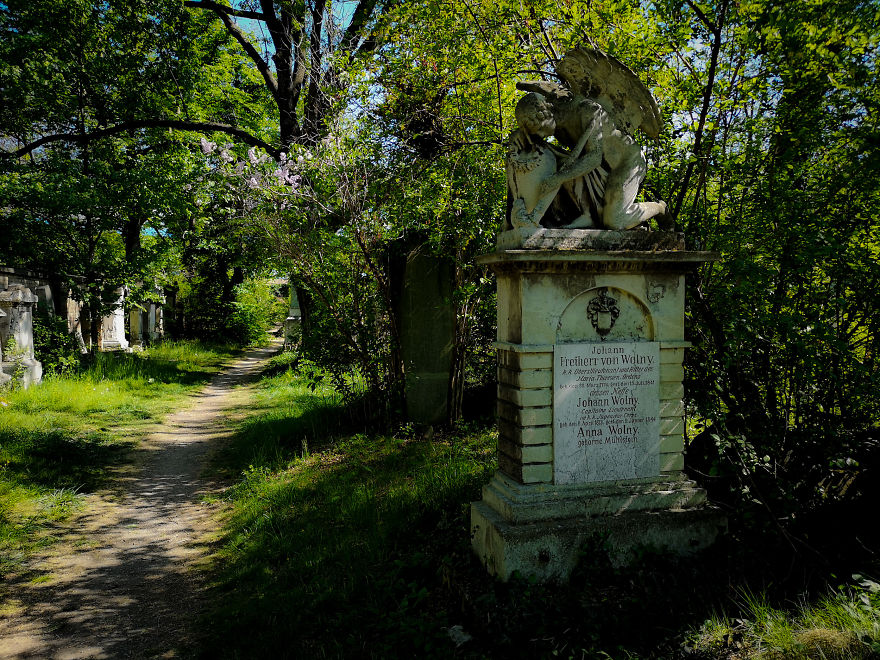 22 Photos Showing The Overgrown Cemetery Of Mozart Burial Place 22 Photos Showing The Overgrown Cemetery Of Mozart Burial Place