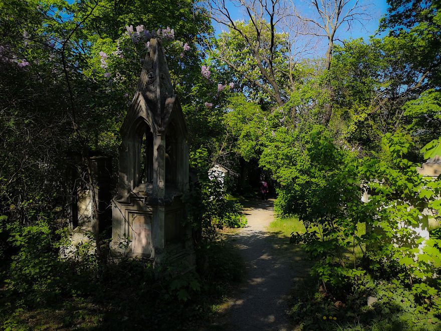 22 Photos Showing The Overgrown Cemetery Of Mozart Burial Place 22 Photos Showing The Overgrown Cemetery Of Mozart Burial Place
