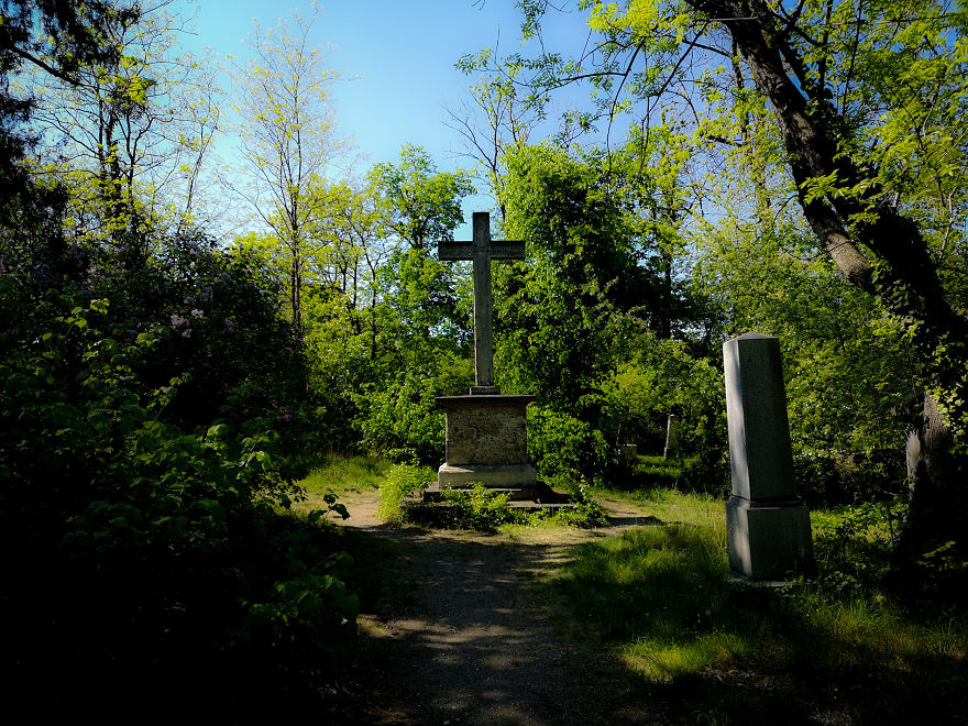 22 Photos Showing The Overgrown Cemetery Of Mozart Burial Place 22 Photos Showing The Overgrown Cemetery Of Mozart Burial Place
