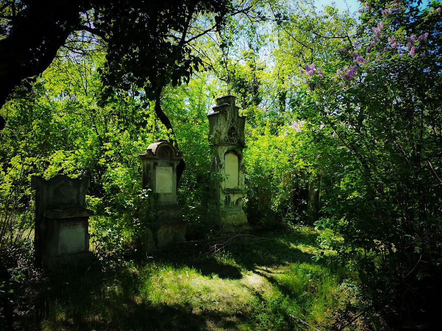 22 Photos Showing The Overgrown Cemetery Of Mozart Burial Place 22 Photos Showing The Overgrown Cemetery Of Mozart Burial Place