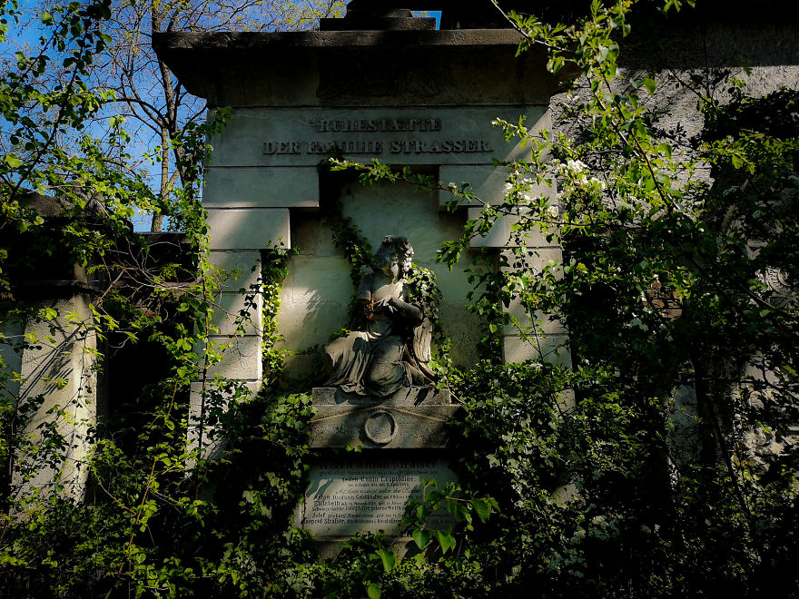 22 Photos Showing The Overgrown Cemetery Of Mozart Burial Place
