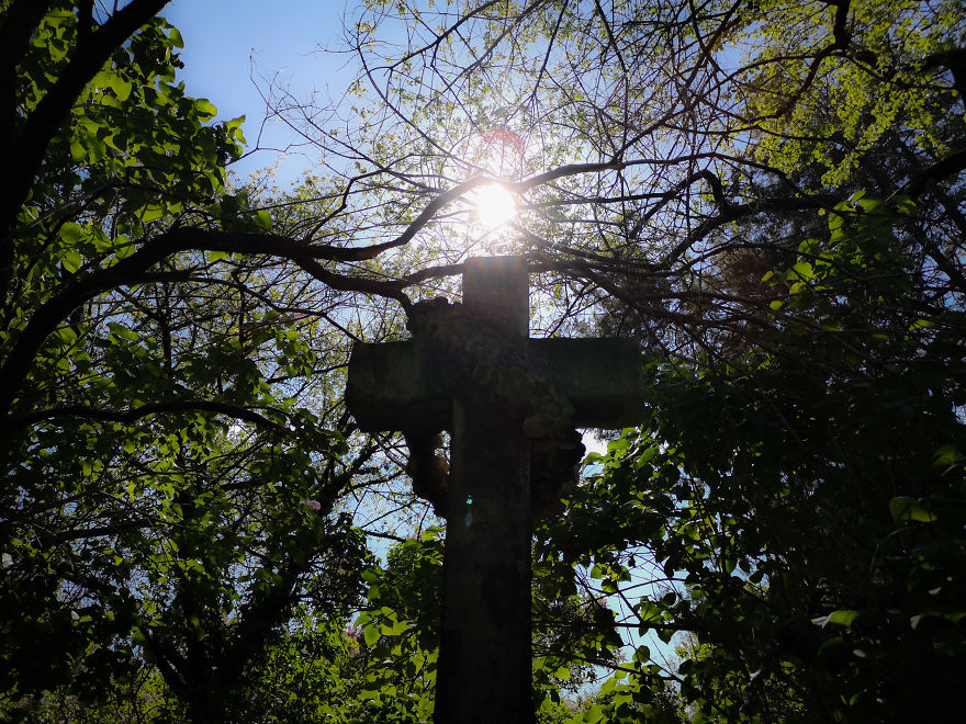 22 Photos Showing The Overgrown Cemetery Of Mozart Burial Place