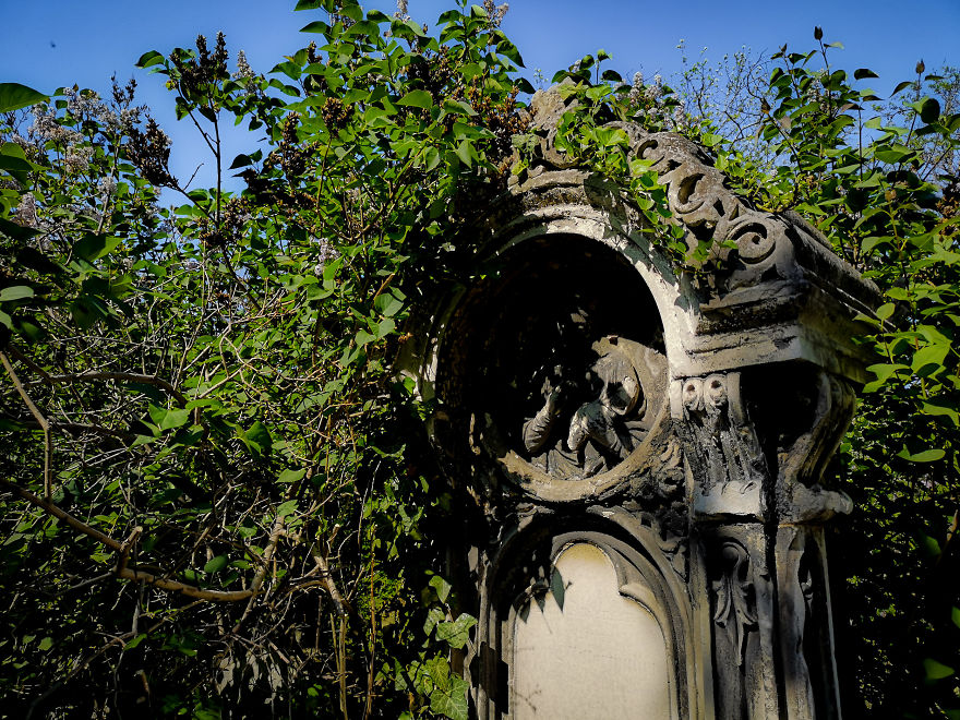 22 Photos Showing The Overgrown Cemetery Of Mozart Burial Place