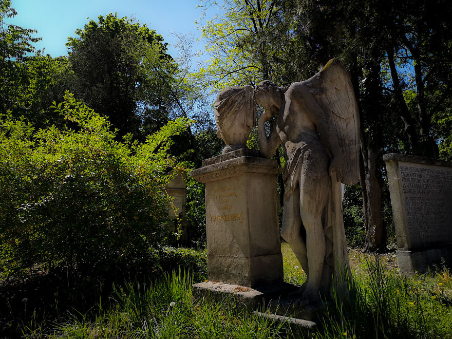 22 Photos Showing The Overgrown Cemetery Of Mozart Burial Place