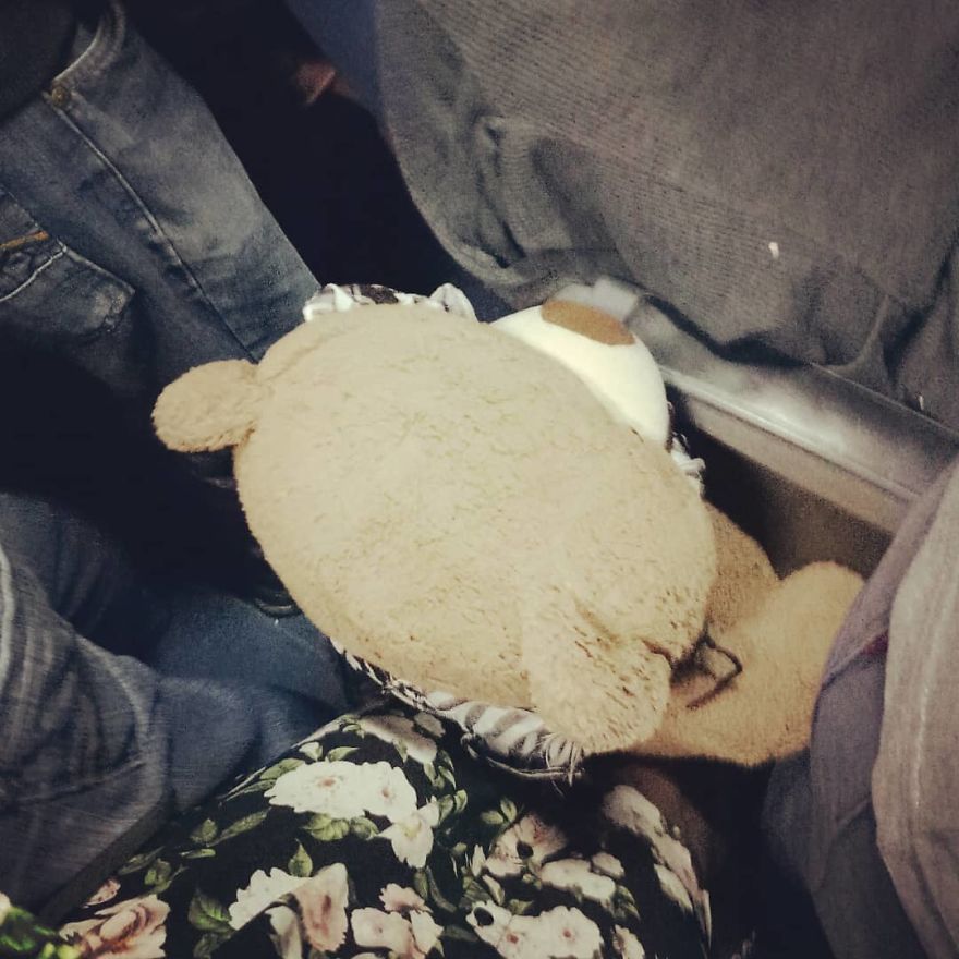 The Adventures Of Milo The Bear