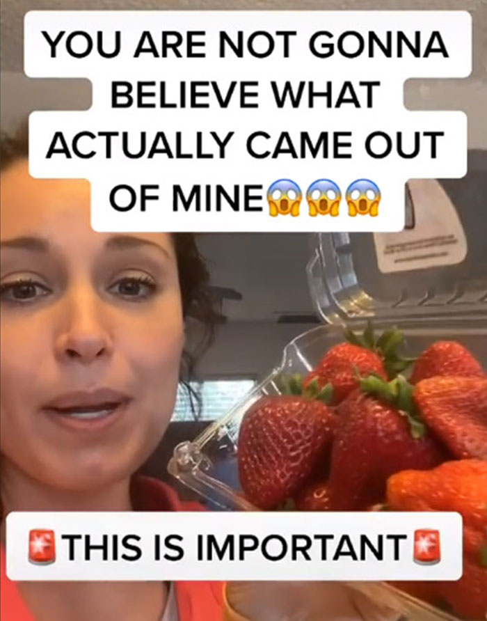 Apparently, If You Put Strawberries Into Salt Water, Tiny Bugs Come Out Of Them Apparently, If You Put Strawberries Into Salt Water, Tiny Bugs Come Out Of Them