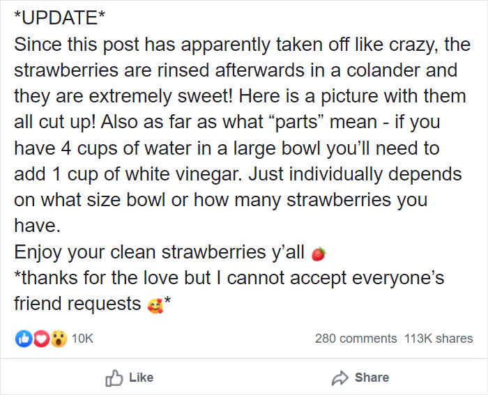 Apparently, If You Put Strawberries Into Salt Water, Tiny Bugs Come Out Of Them