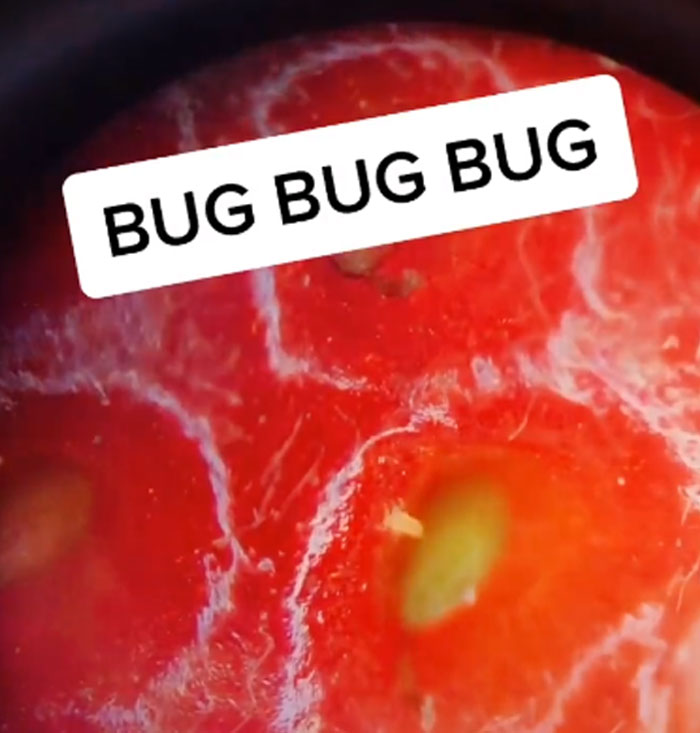 Apparently, If You Put Strawberries Into Salt Water, Tiny Bugs Come Out Of Them Apparently, If You Put Strawberries Into Salt Water, Tiny Bugs Come Out Of Them