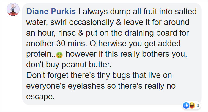 Apparently, If You Put Strawberries Into Salt Water, Tiny Bugs Come Out Of Them Apparently, If You Put Strawberries Into Salt Water, Tiny Bugs Come Out Of Them