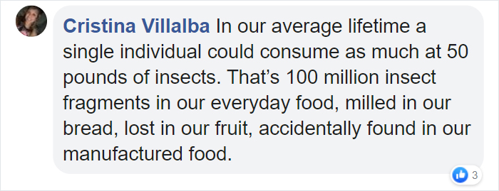 Apparently, If You Put Strawberries Into Salt Water, Tiny Bugs Come Out Of Them