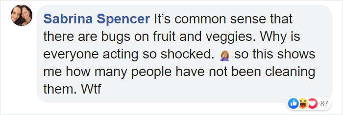 Apparently, If You Put Strawberries Into Salt Water, Tiny Bugs Come Out Of Them Apparently, If You Put Strawberries Into Salt Water, Tiny Bugs Come Out Of Them