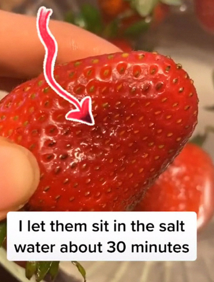 Apparently, If You Put Strawberries Into Salt Water, Tiny Bugs Come Out Of Them Apparently, If You Put Strawberries Into Salt Water, Tiny Bugs Come Out Of Them