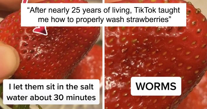 Apparently, If You Put Strawberries Into Salt Water, Tiny Bugs Come Out Of Them