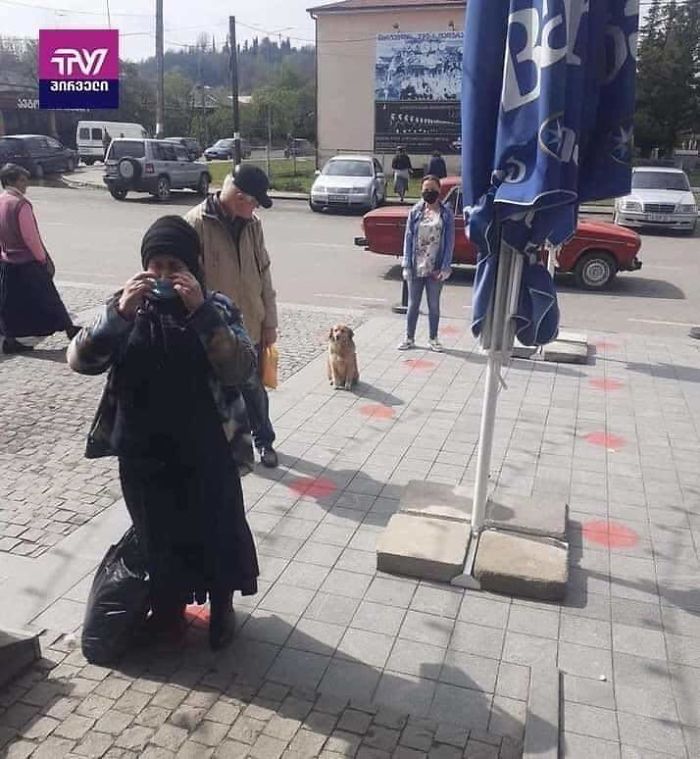 People In The Philippines Spotted Stray Cats Occupying The Circle Marks Near The Market