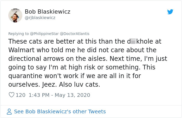 People In The Philippines Spotted Stray Cats Occupying The Circle Marks Near The Market