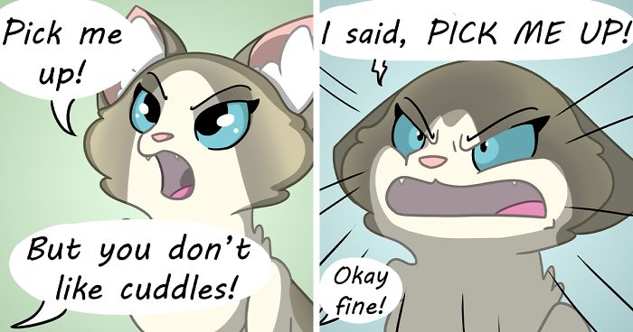 My 26 Comics That You Will Probably Relate To If You Have A Cat