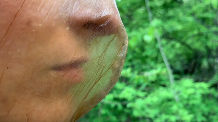 Design Duo Creates A Home-Grown Biodegradable Mask From Bacteria