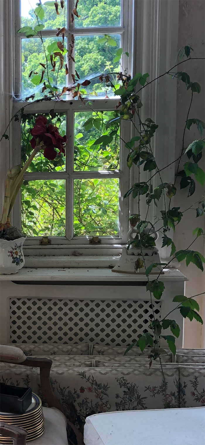 Owners Of This Mansion Mysteriously Fled And Left A Lot Of Expensive, Luxurious, And Rare Items Behind (34 Pics) Owners Of This Mansion Mysteriously Fled And Left A Lot Of Expensive, Luxurious, And Rare Items Behind (34 Pics)