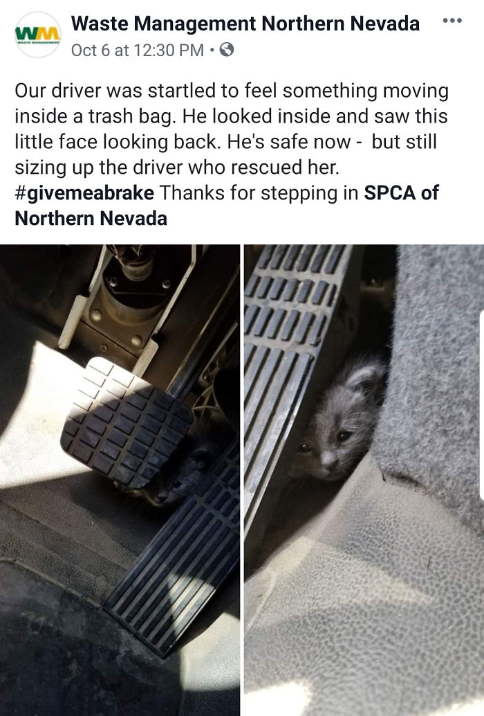 Not All Heroes Wear Capes...sometimes They Wear Safety Vests!