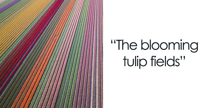 These 49 Photographers Show What Spring Looks Like Around The World