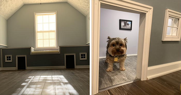 Woman Documents Her Daughter Turning A Spare Room Into A House For Their Dogs