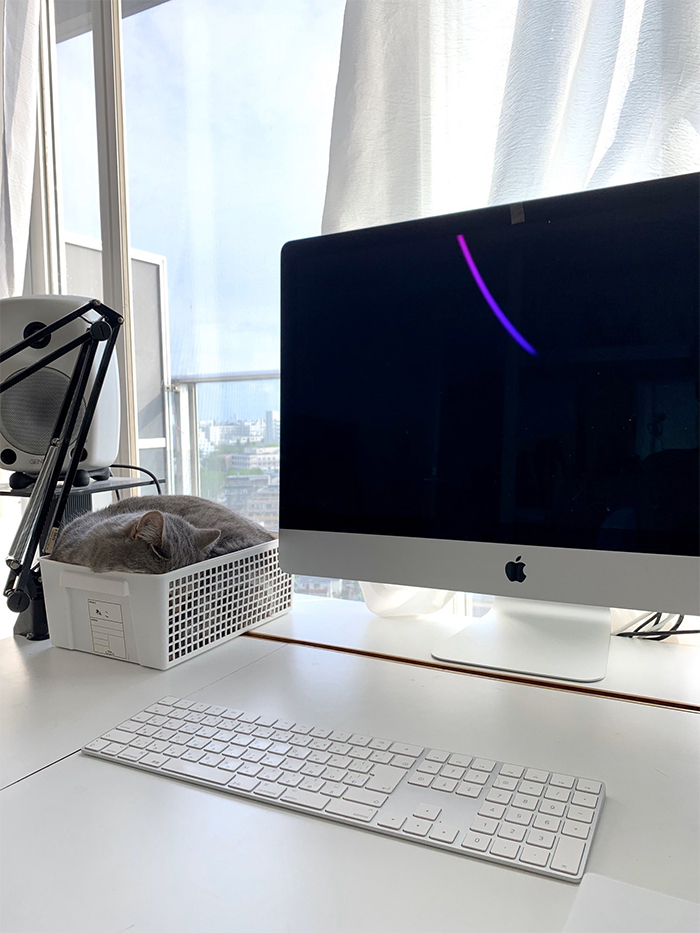 Man Trying To Work From Home Gets Constantly Interrupted By His Cat, Tricks It Into Being Calm By Placing A Box On His Desk
