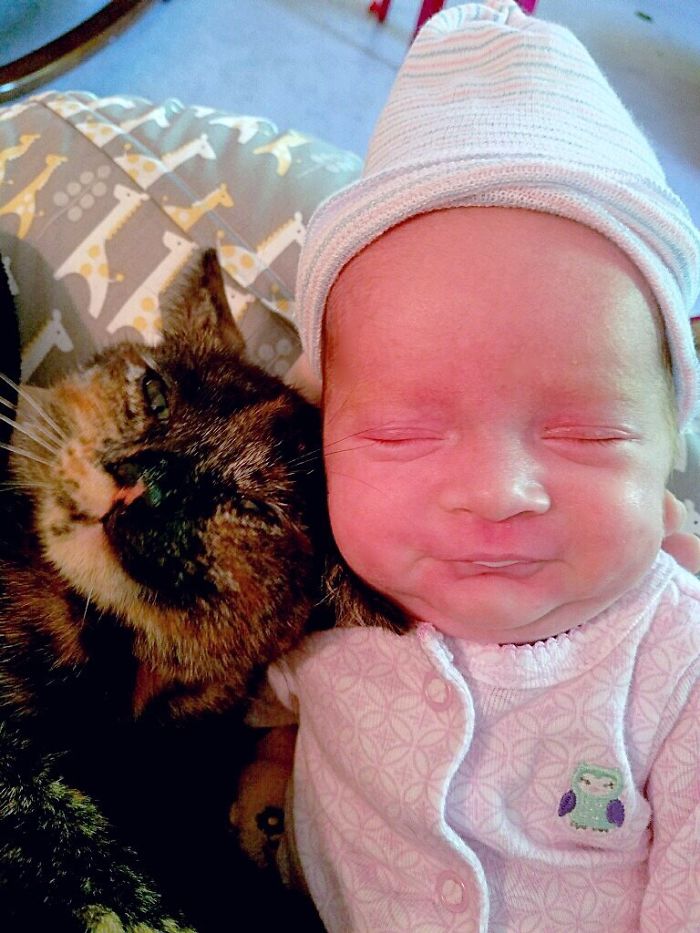 Every Last Bit Of The Cute!