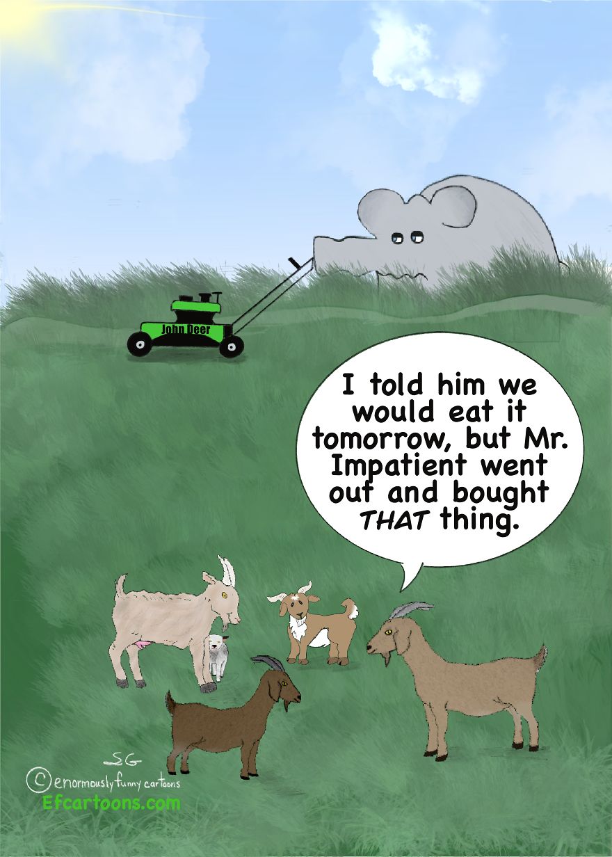 I Draw Enormously Funny Cartoons To Brighten Your Day