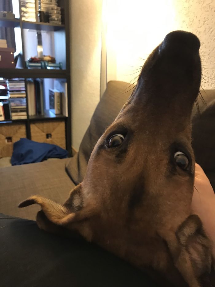 Serenity, Two Hours After Taking Her Home For The First Time.