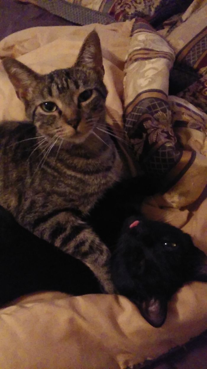 This Is My House Now... Girls Rule!!!