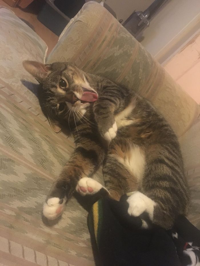 Pay Attention To Me Mom. I’m Bored