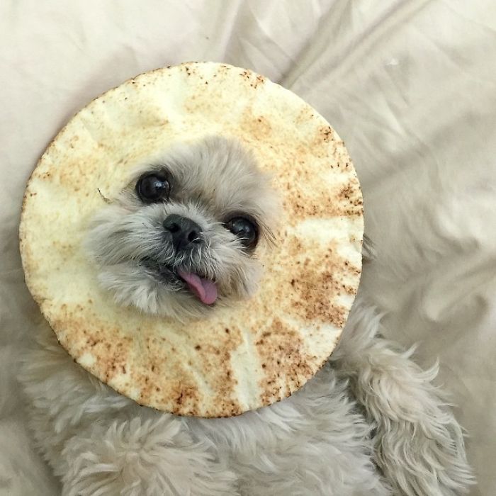 I'm Pita Bread Now