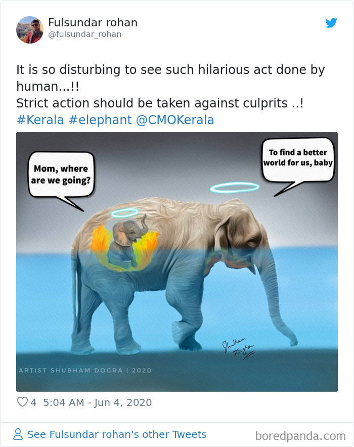 Pregnant-Elephant-Dies-Eats-Pineapple-Filled-With-Firecrackers-Artists-Pay-Tribute