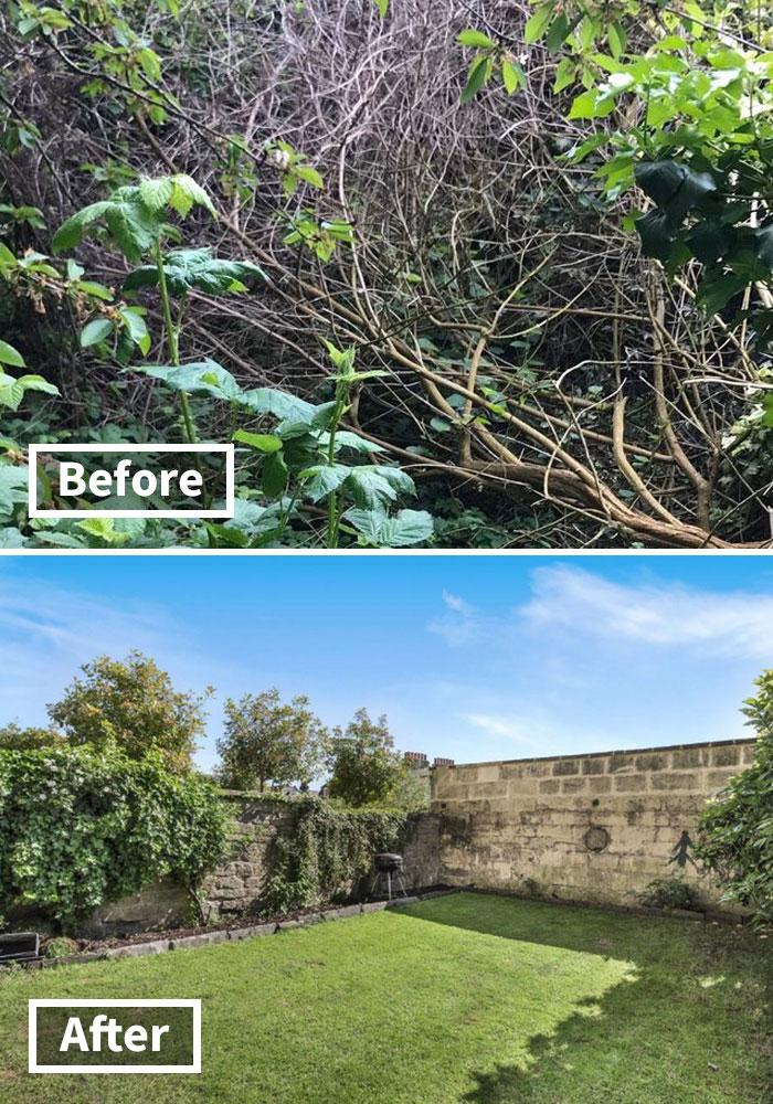 Here Are The Before And After Photos Of A Creepy 'Dungeon' That Was Turned Into A Lush $592,000 Apartment