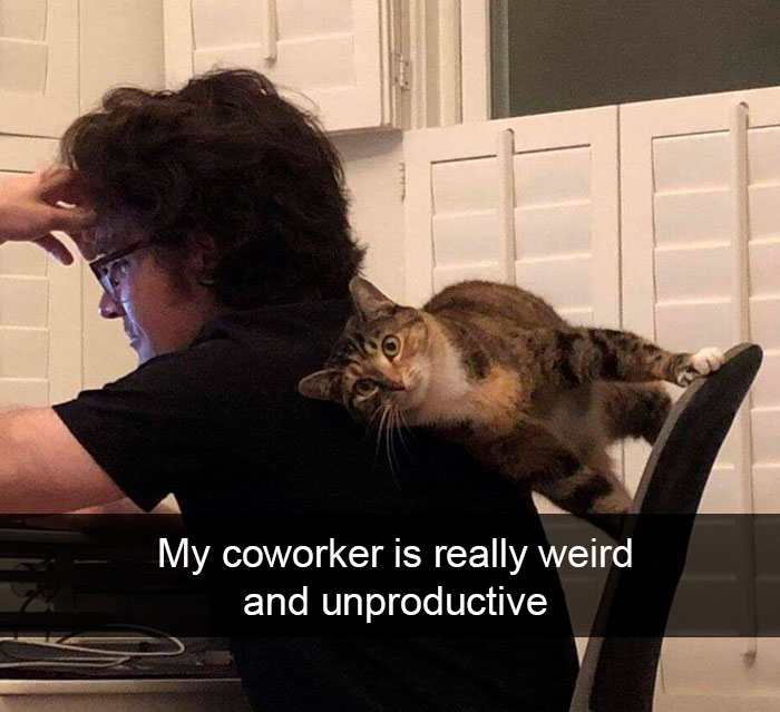 Taking This Straight To Hr