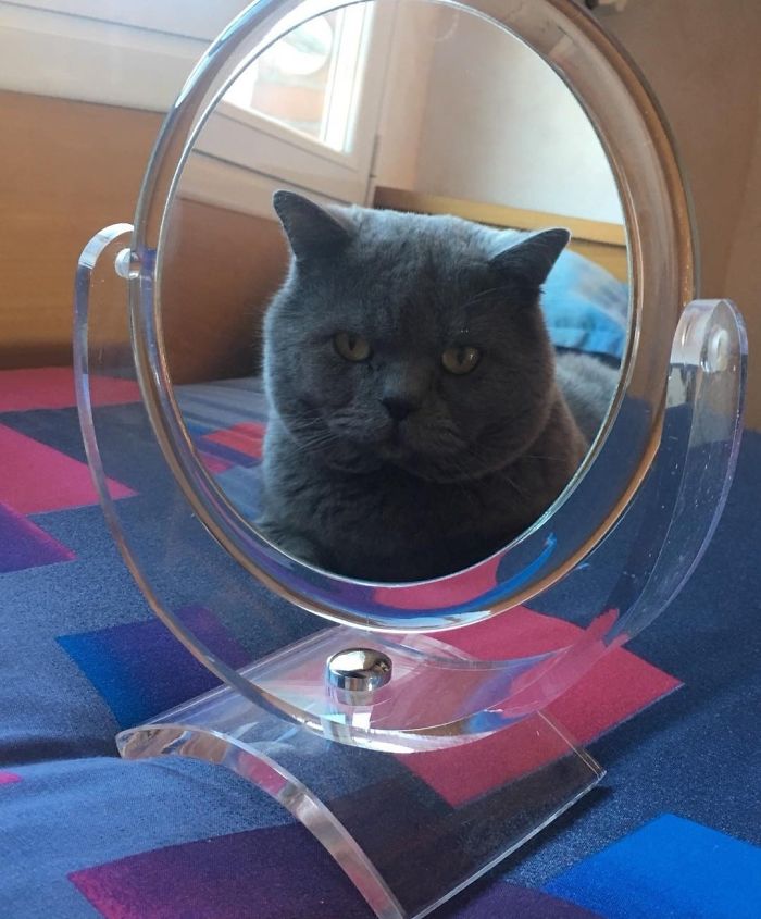 Looking In The Mirror