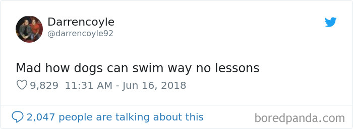 Best-Scottish-Tweets