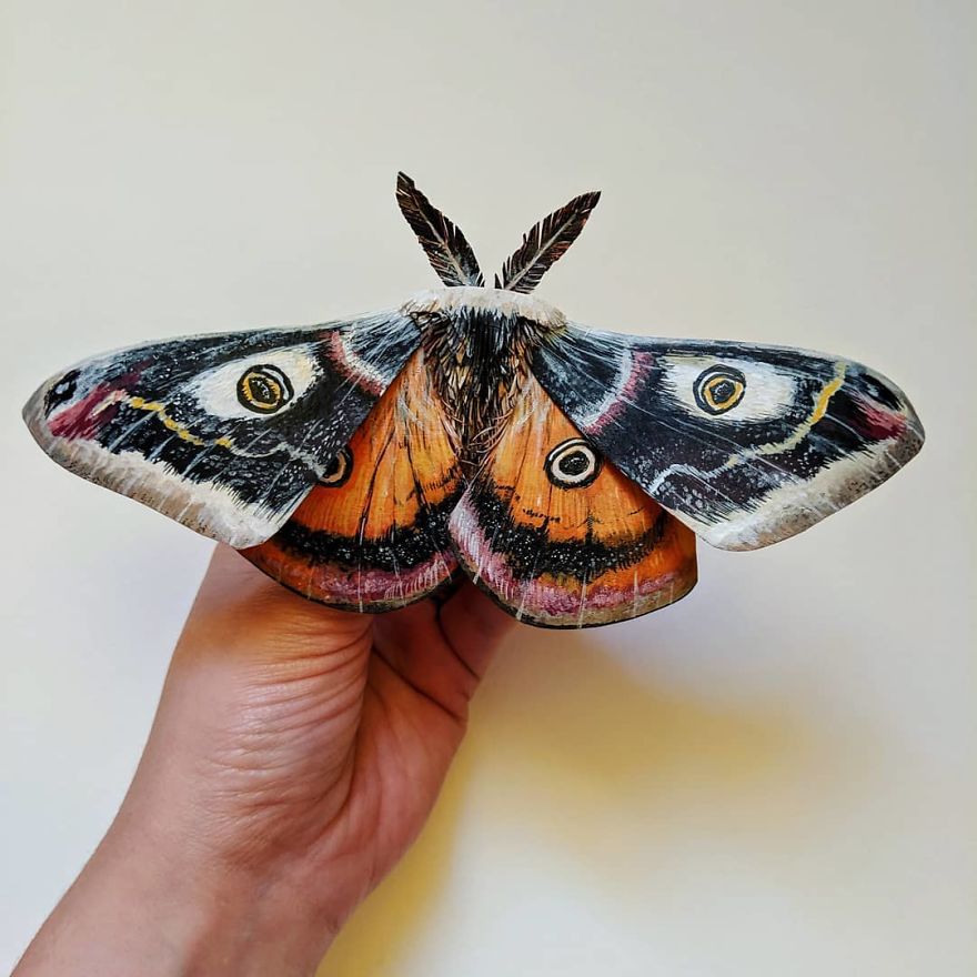 Artist Creates An Incredible Variety Of Realistic Insects Using Only Paper