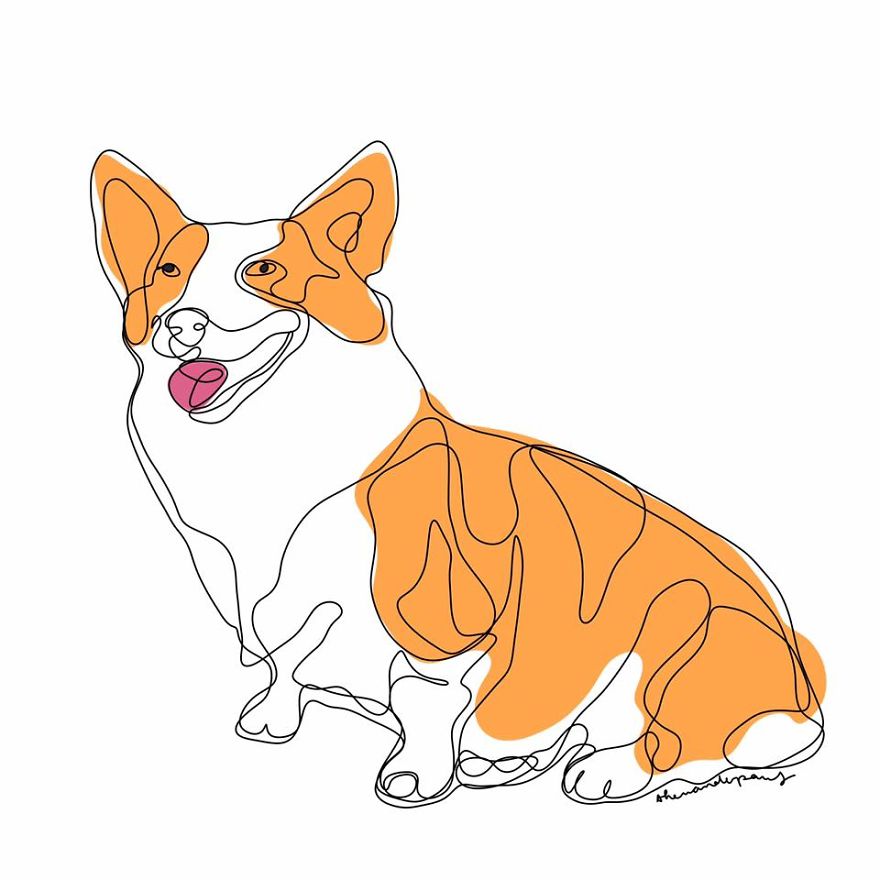 Corgi