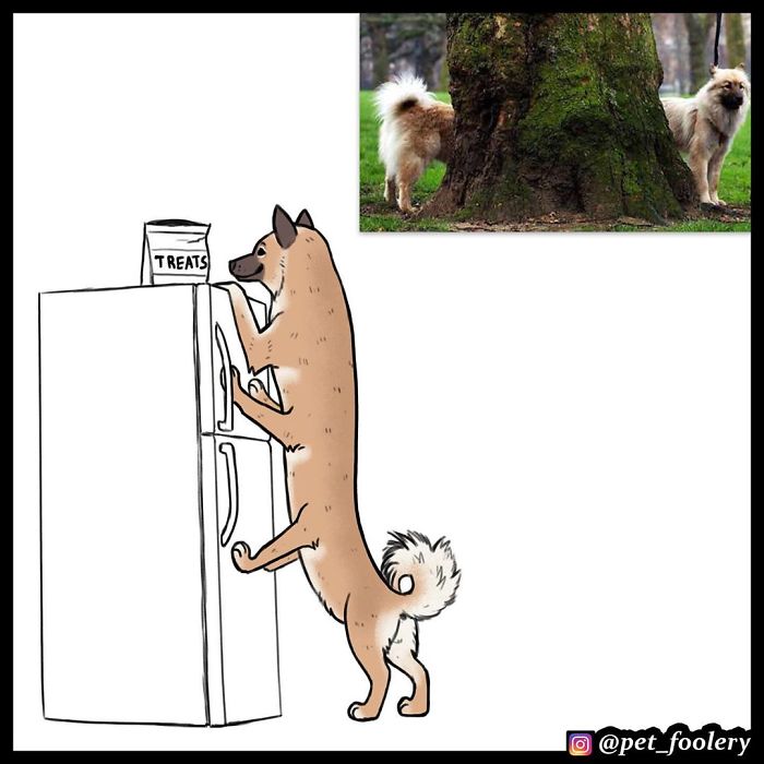 The Author Of 'Brutus And Pixie' Comics Reimagines The Animals From Viral Photos And Almost 500K People Like It