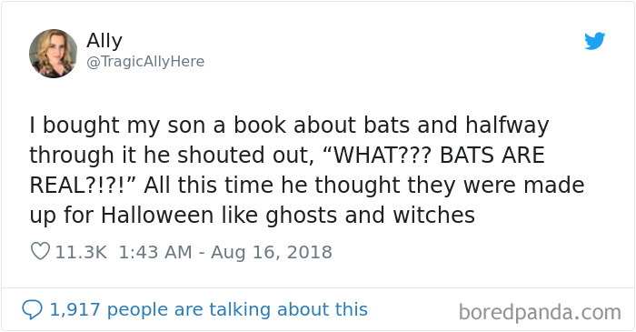 Wait A Sec, There Are Real Bats?