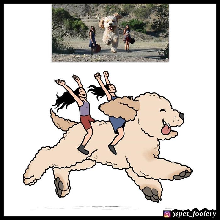 The Author Of 'Brutus And Pixie' Comics Reimagines The Animals From Viral Photos And Almost 500K People Like It