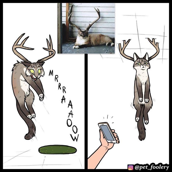 The Author Of 'Brutus And Pixie' Comics Reimagines The Animals From Viral Photos And Almost 500K People Like It