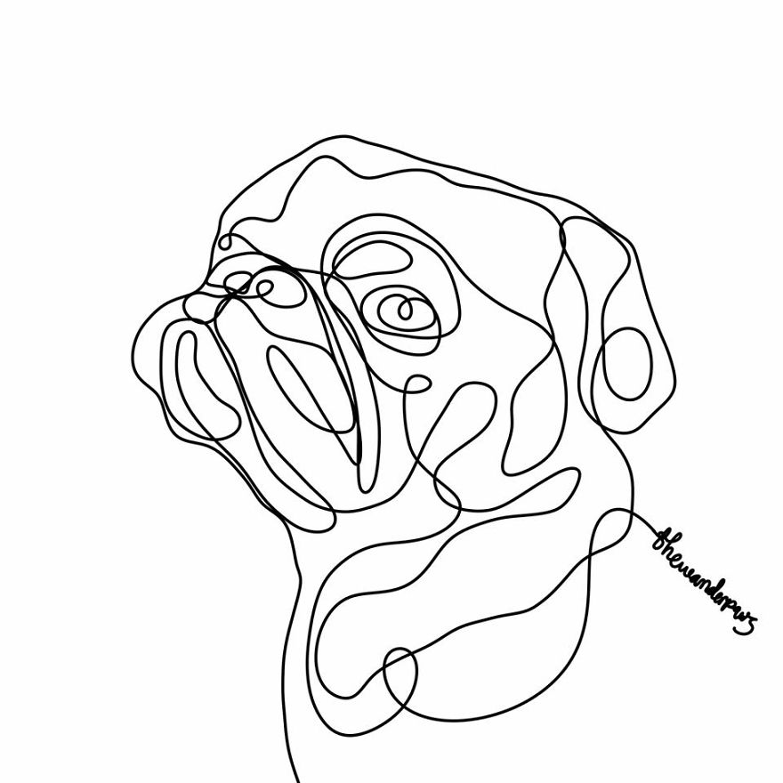 Pug